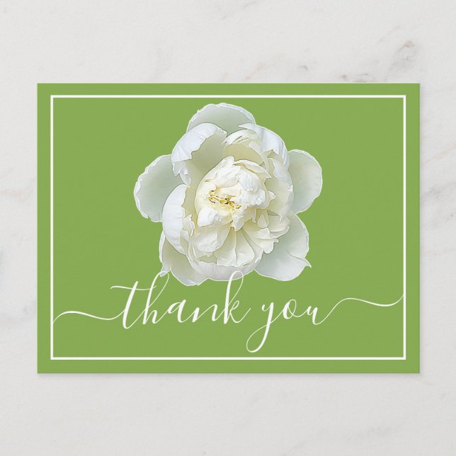 Postal White Peony Lime Green Background Gracias (Anverso)