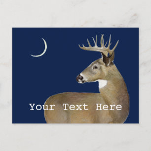 Postal White Tail Buck