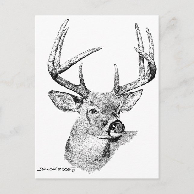 Postal Whitetail Deer (Anverso)