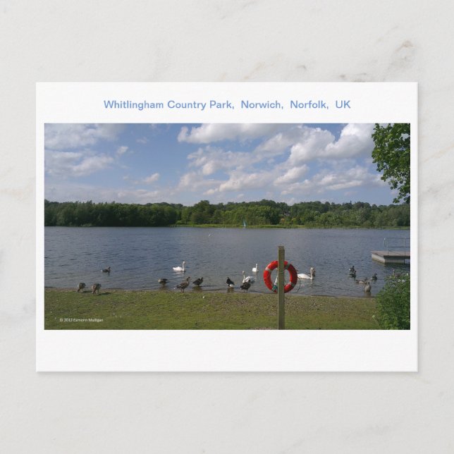 Postal Whitlingham Country Park, Norwich, Norfolk, Reino  (Anverso)