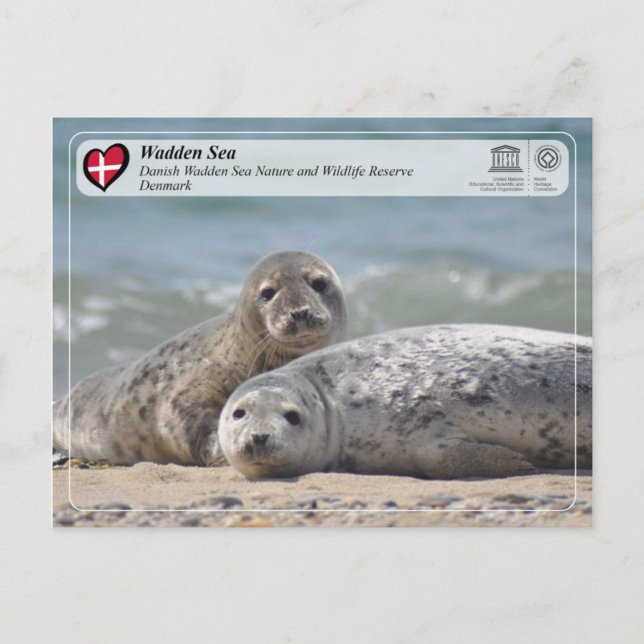 Postal WHS de UNESCO - Mar de Wadden danés (Anverso)
