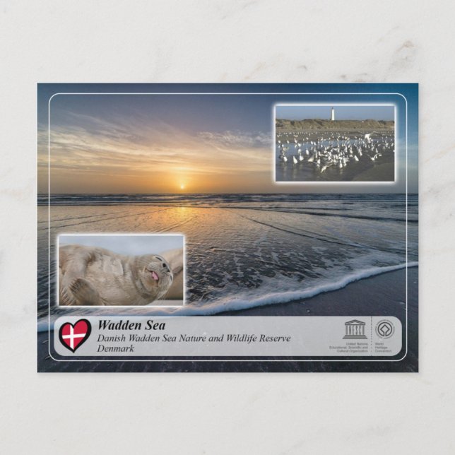 Postal WHS de UNESCO - Mar de Wadden danés (Anverso)