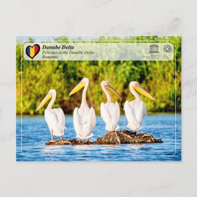 Postal WHS de UNESCO - Pelícanos en el delta del Danubio (Anverso)