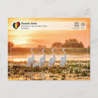 WHS de UNESCO - Pelícanos en el delta del Danubio
