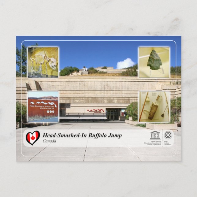 Postal WHS de UNESCO - Salto de búfalo estrellado (Anverso)