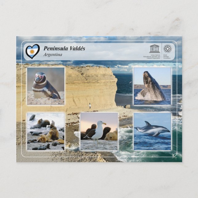 Postal WHS UNESCO - Península Valdés (Anverso)