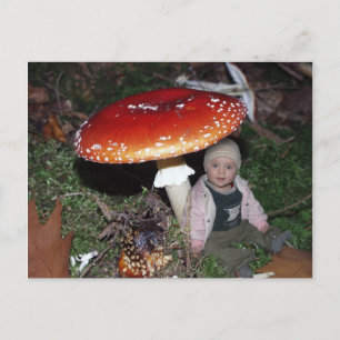 Postal Wichtel - Zwerg unter dem Fliegenpilz