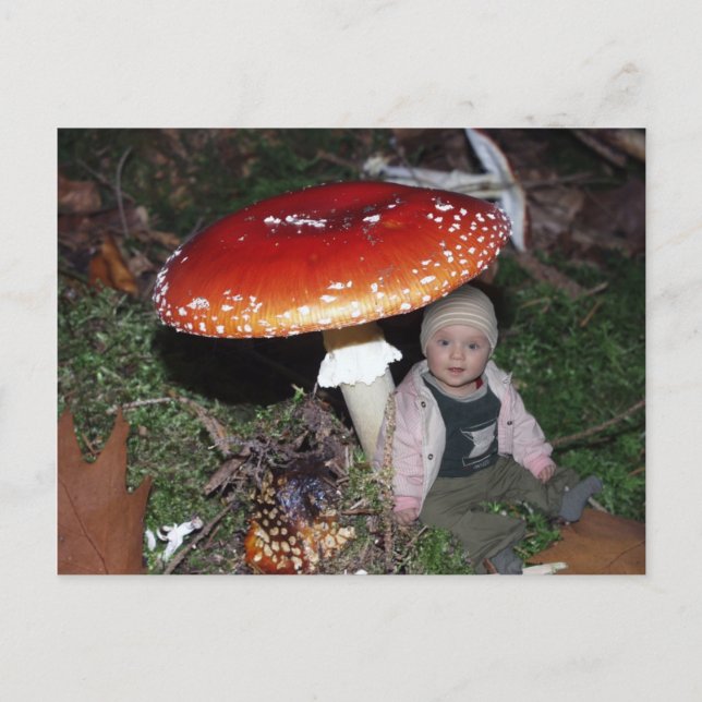 Postal Wichtel - Zwerg unter dem Fliegenpilz (Anverso)