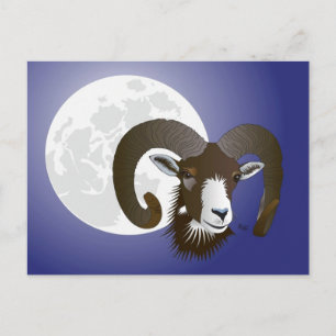 Postal Widder Sternzeichen Postkarte