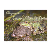 Wie gewünscht: ¡Ein paar Kröten für Dich!