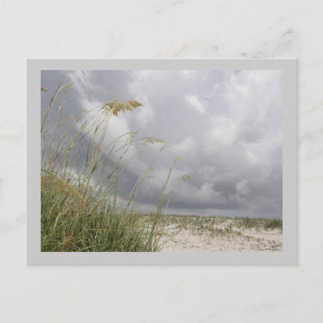 Postal WIld Blue Yonder (Anverso)