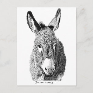 Postal Wild Burro
