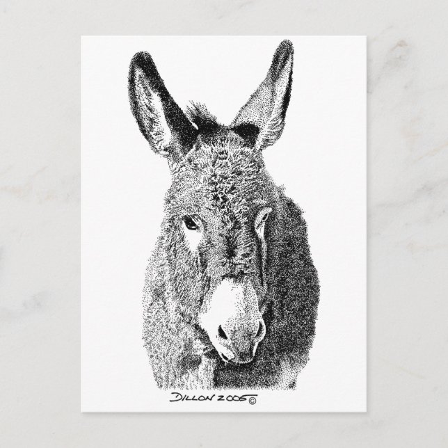 Postal Wild Burro (Anverso)