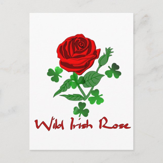 Postal Wild Irish Rosa (Anverso)