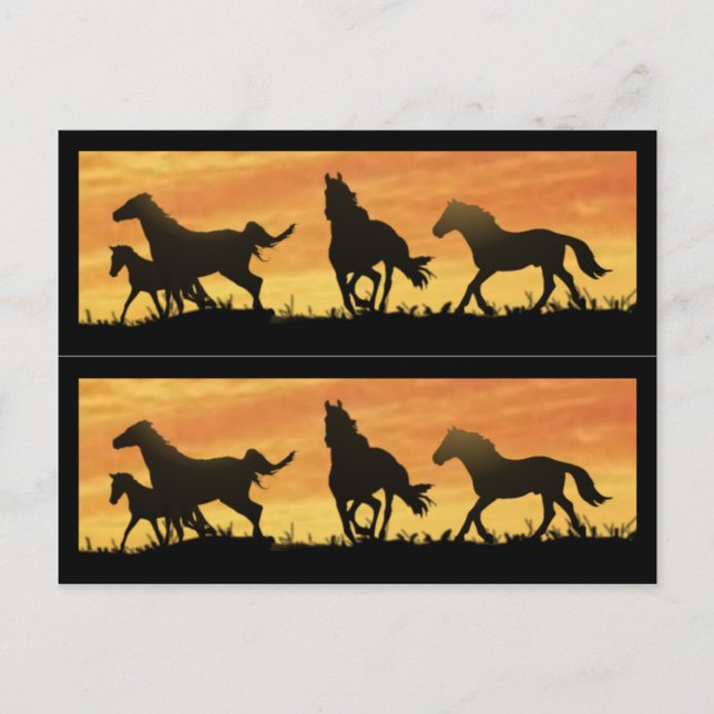 Postal Wild Mustangs (Anverso)