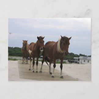 Postal Wild Ponies