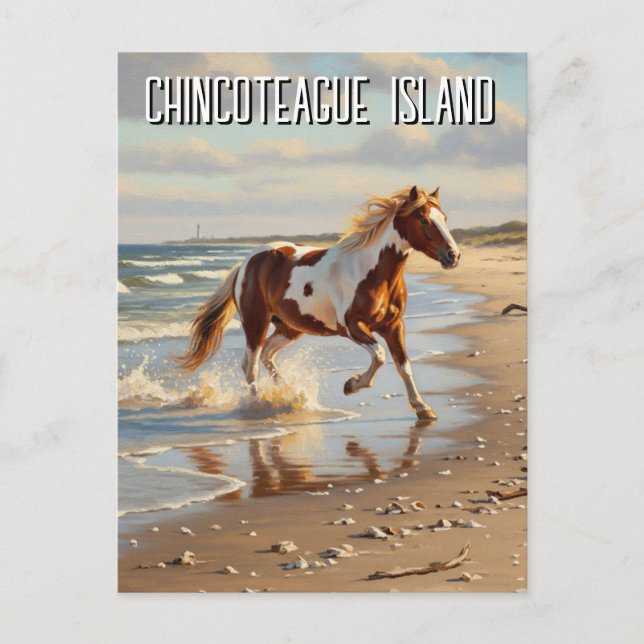 Postal Wild Pony en Chincoteague Island Virginia Travel (Anverso)