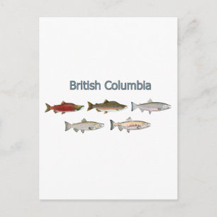 Postal Wild Salmon