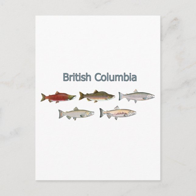 Postal Wild Salmon (Anverso)