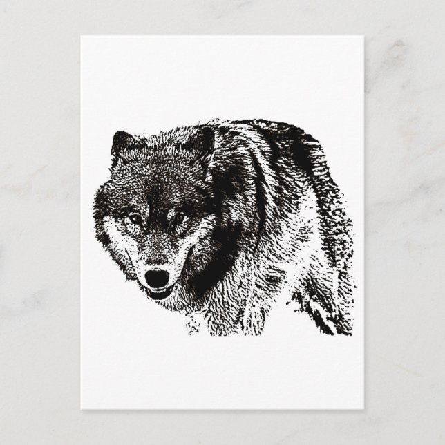 Postal Wild Wolf (Anverso)