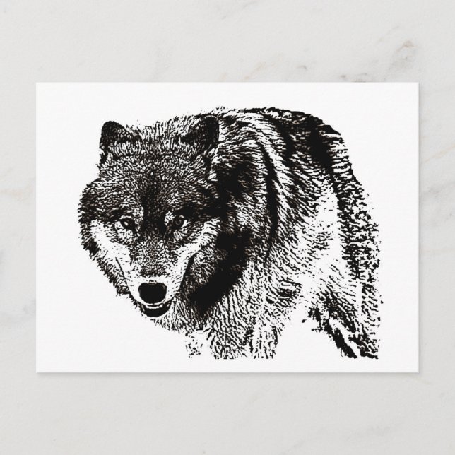 Postal Wild Wolf (Anverso)