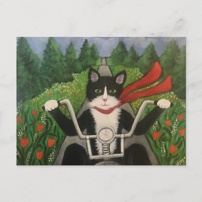 Postal Wildboy Cabalga de Nuevo (Anverso)