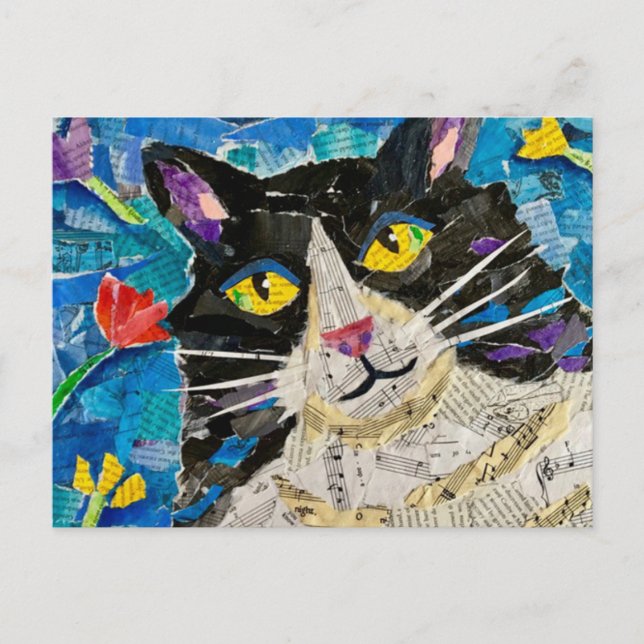 Postal Wildboy el gato (Anverso)