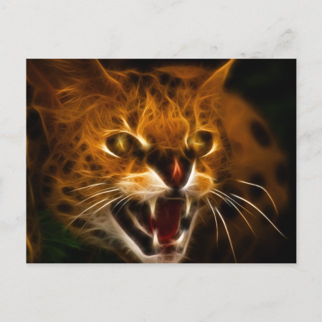 Postal Wildcat (Anverso)