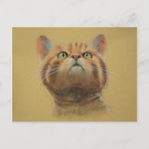Postal Wildcat escocés