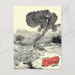 Postal Wilderness del Valle Juniper - Postcard