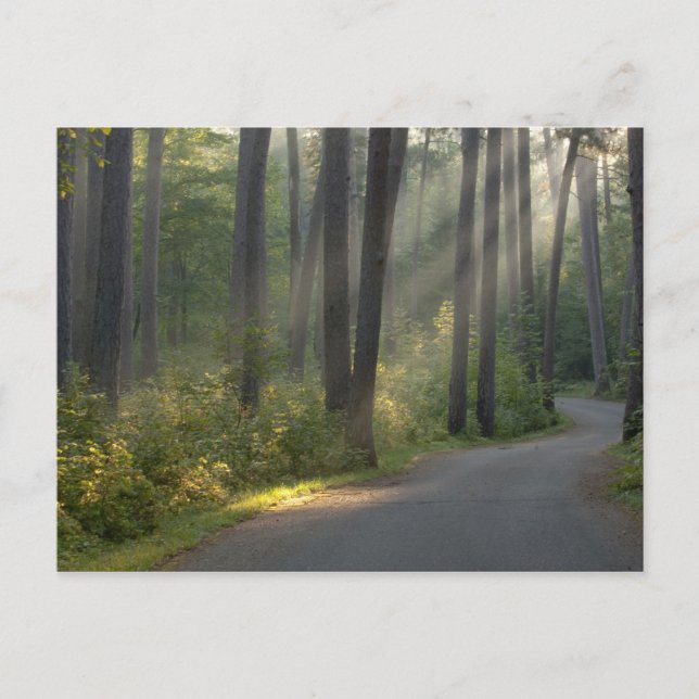 Postal Wilderness Drive, Parque Estatal Itasca, (Anverso)