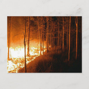 Postal Wildfire Blaze