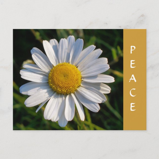 POSTAL WILDFLOWERS (Anverso)