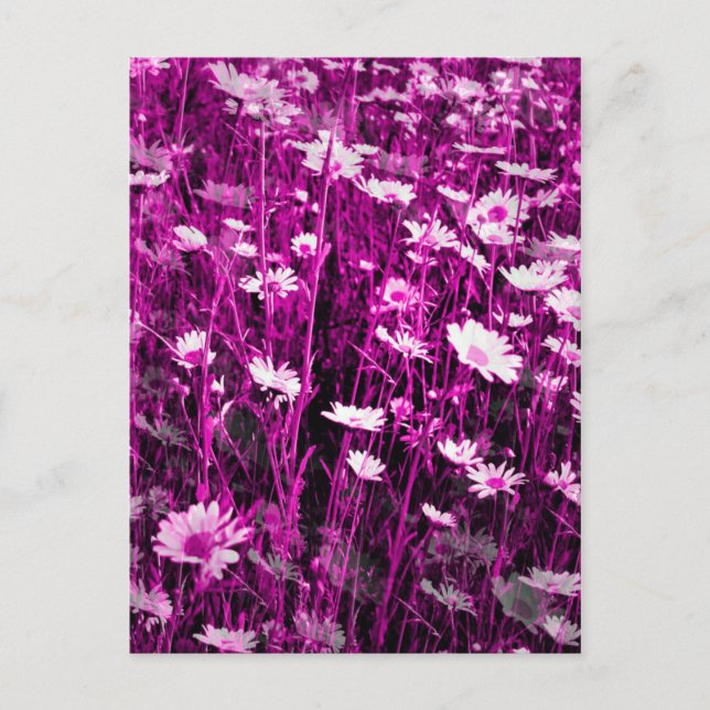 POSTAL WILDFLOWERS (Anverso)