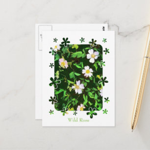 POSTAL WILDFLOWERS