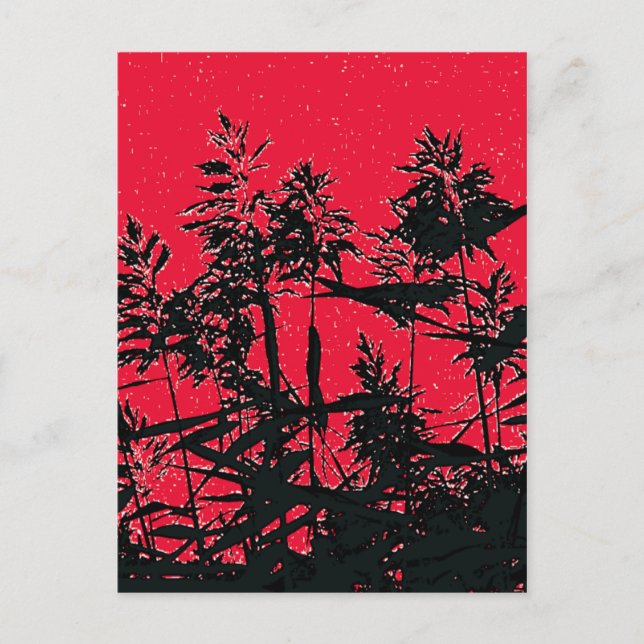 POSTAL WILDFLOWERS (Anverso)