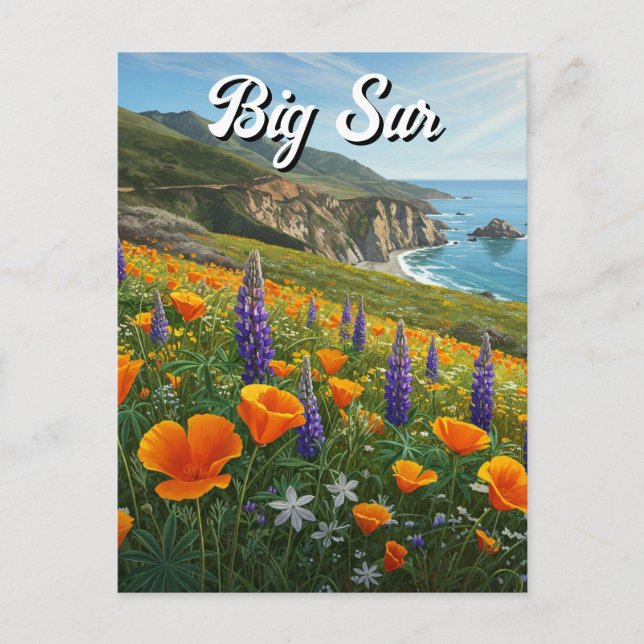 Postal Wildflowers Big Sur California Travel (Anverso)