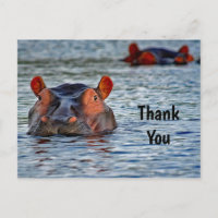 Wildlife Hippo Water Photo Gracias