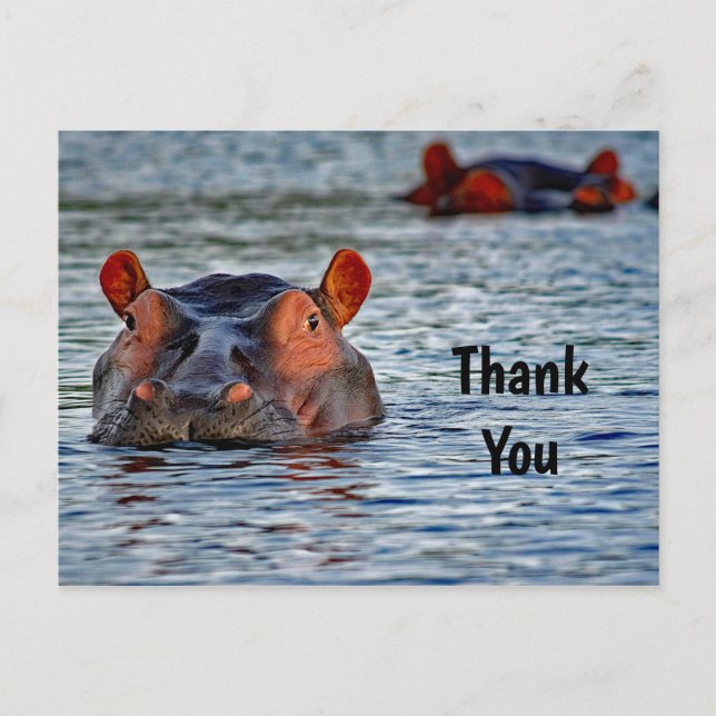 Postal Wildlife Hippo Water Photo Gracias (Anverso)
