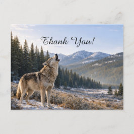Postal Wildlife Howling Gray Wolf Scene Thank You