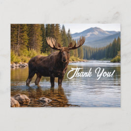 Postal Wildlife Moose Wilderness River Thank You