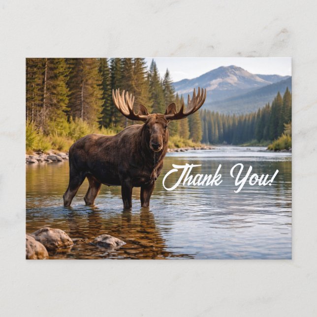 Postal Wildlife Moose Wilderness River Thank You (Anverso)
