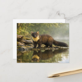 Postal Wildlife Pine Marten Forest Stream 