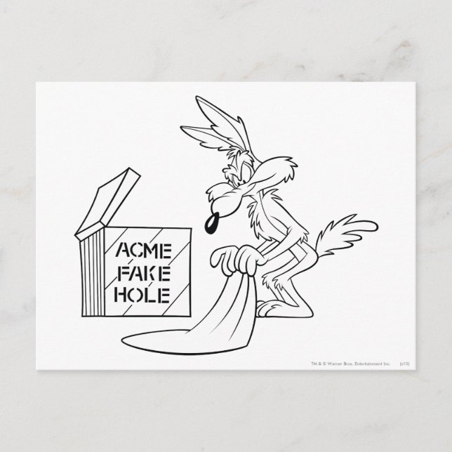 Postal WILE E. COYOTE™ Acme Products 7 (Anverso)
