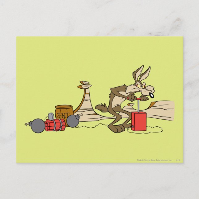 POSTAL WILE E. COYOTE™ ACME TNT (Anverso)