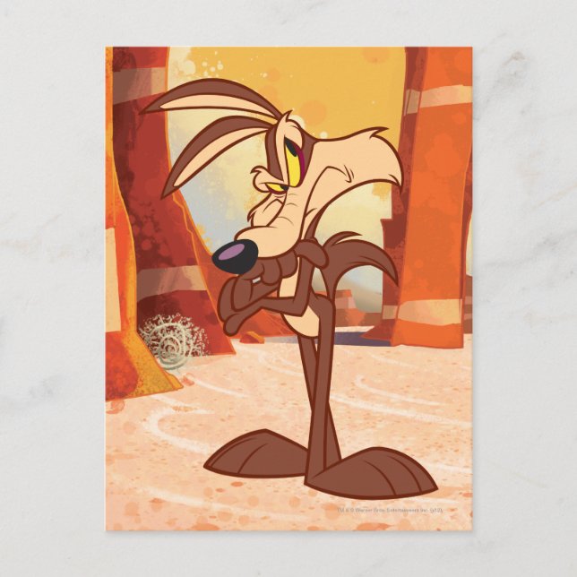 Postal WILE E. COYOTE™ Brazos cruzados (Anverso)