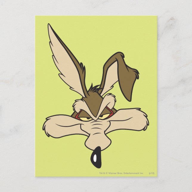 Postal WILE E. COYOTE™ Shot (Anverso)