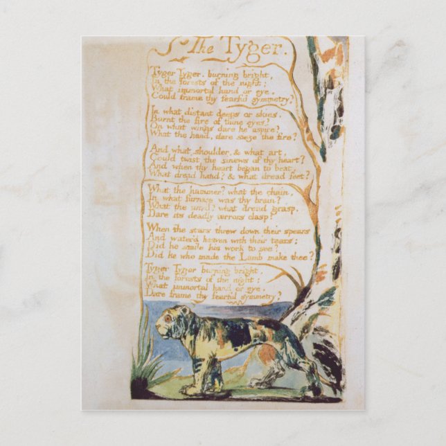 Postal William Blake | El tigre, de canciones de inocenci (Anverso)