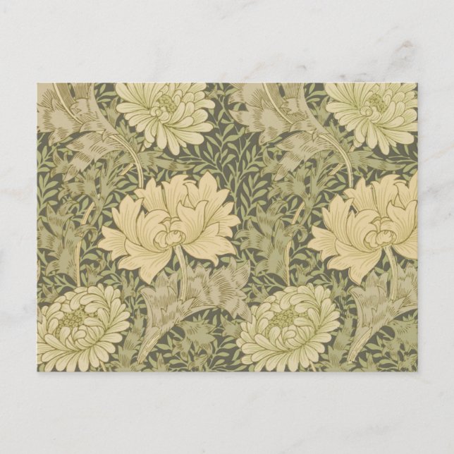 Postal William Morris Chrysanthemum Sage Flower (Anverso)