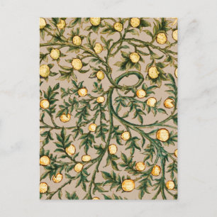 Postal William Morris Floral Fruta Jardín Flor Clásico